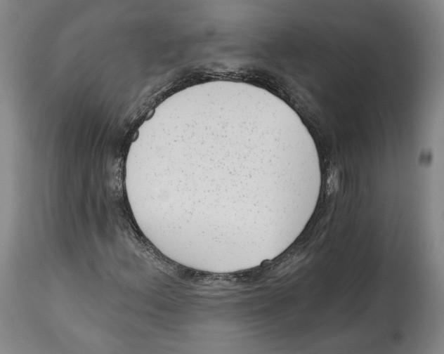 X0000114441156200911131509