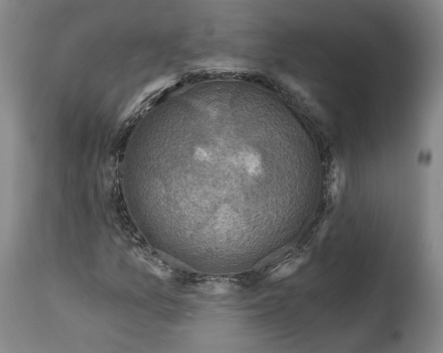 X0000114441157200911131509