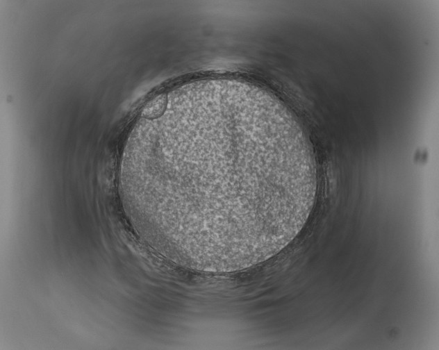 X0000114441158200911131509