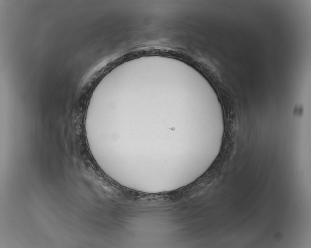 X0000114441159200911131509