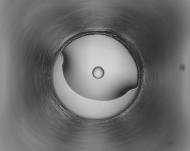 X0000114441161200911131509