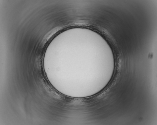 X0000114441162200911131509