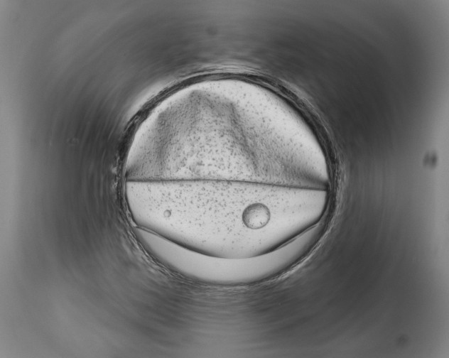 X0000114441163200911131509