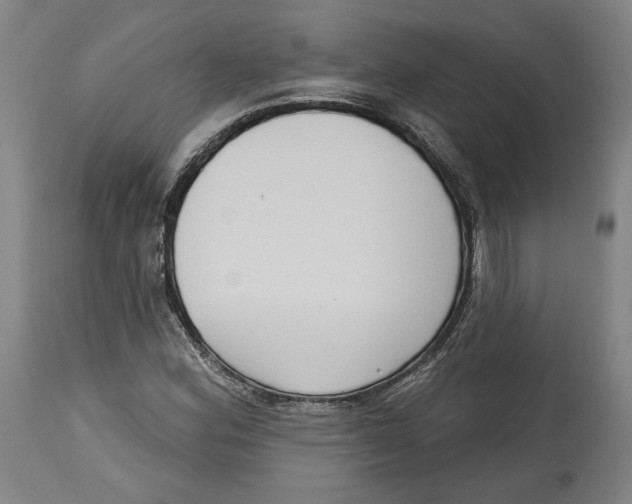 X0000114441164200911131509