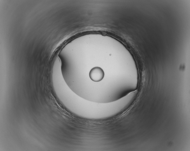 X0000114441165200911131509