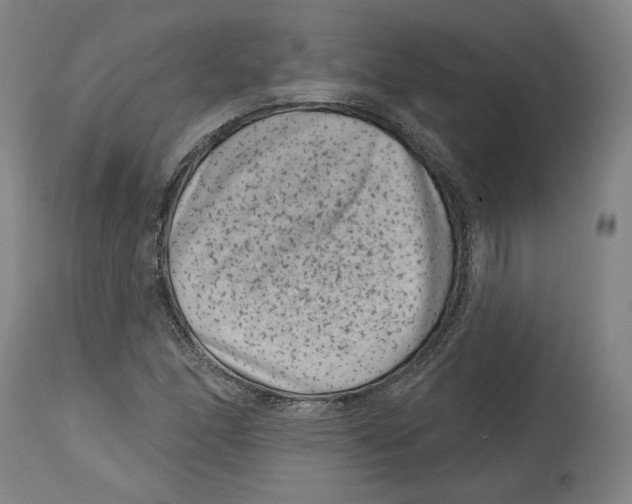 X0000114441166200911131509