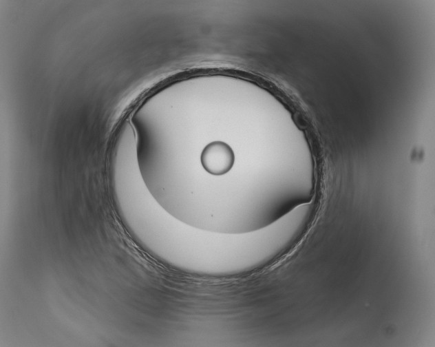 X0000114441167200911131509