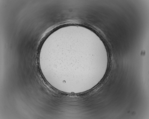 X0000114441168200911131509