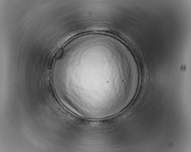 X0000114441169200911131509