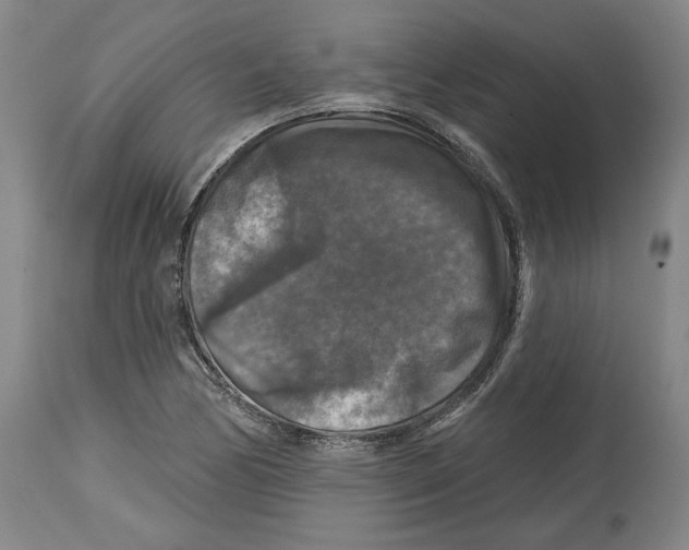 X0000114441170200911131509