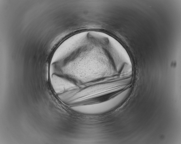 X0000114441171200911131509