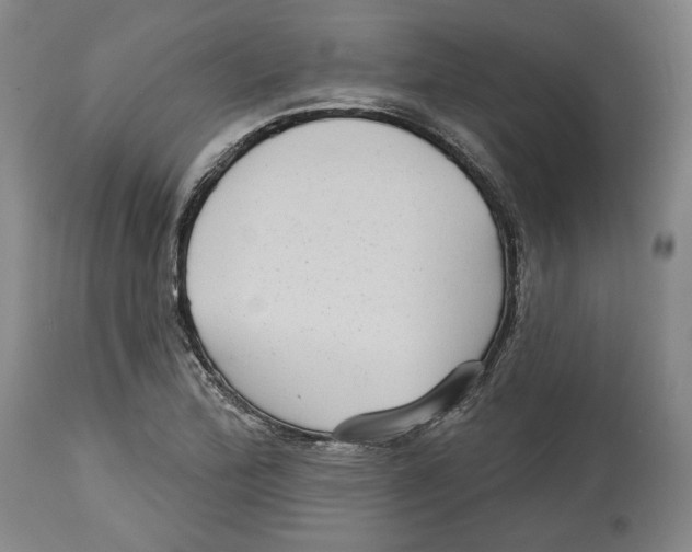 X0000114441172200911131509