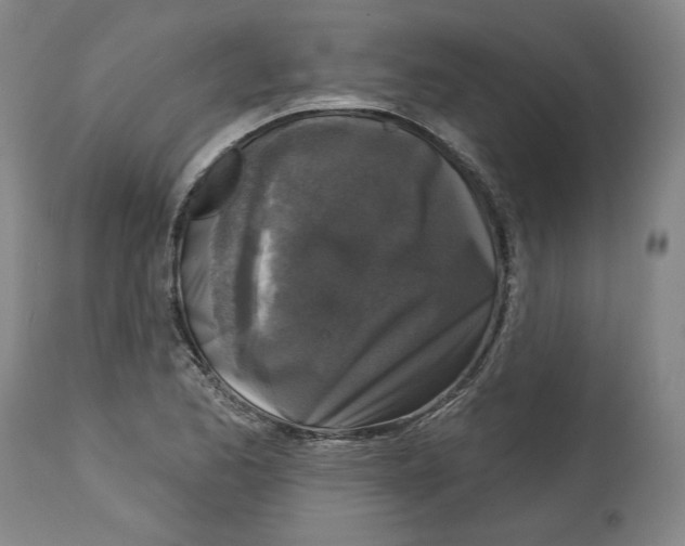 X0000114441173200911131509