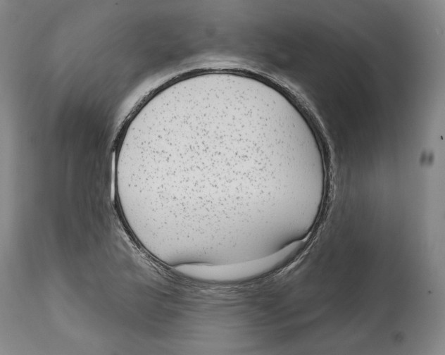 X0000114441175200911131509