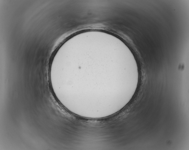 X0000114441176200911131509