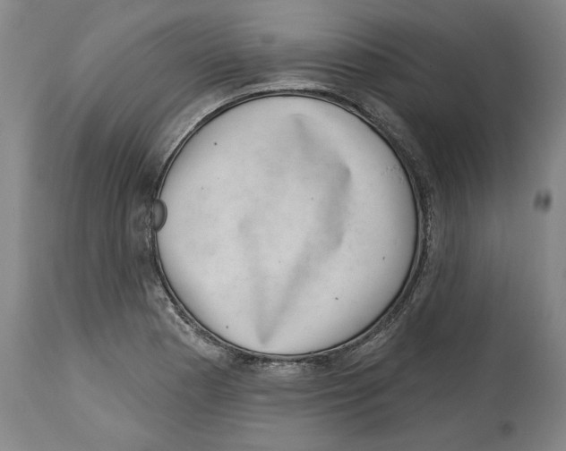 X0000114441177200911131509