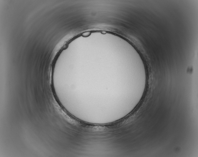 X0000114441180200911131509