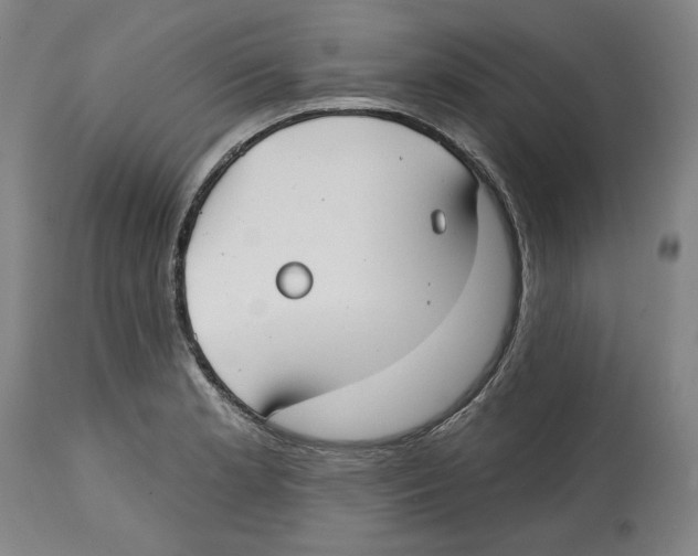 X0000114441181200911131509