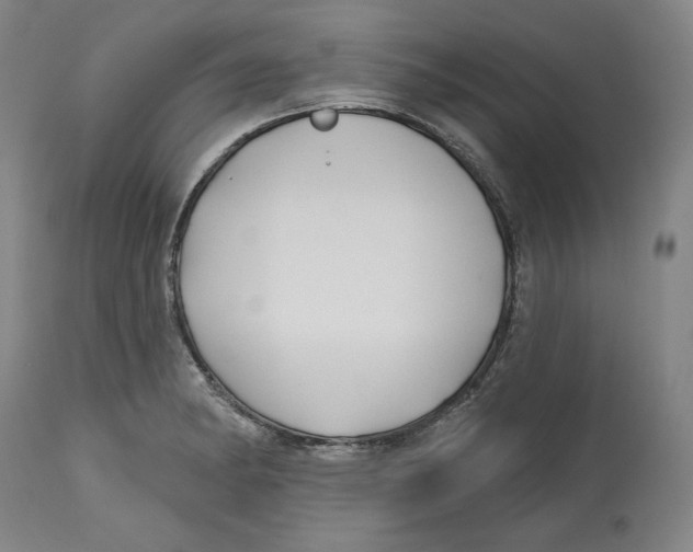 X0000114441182200911131509