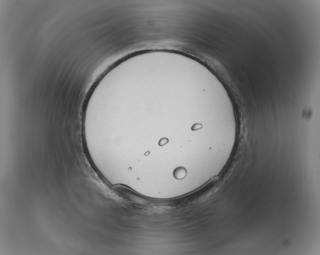 X0000114441184200911131509