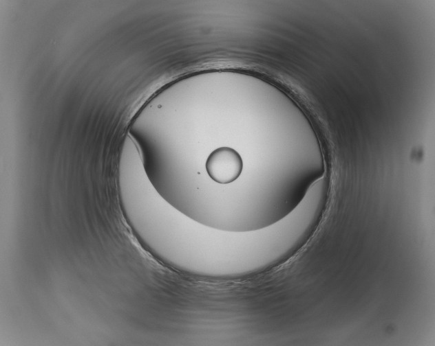 X0000114441185200911131509