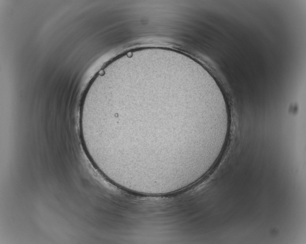 X0000114441188200911131509