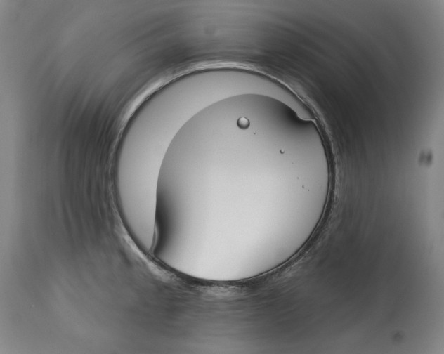 X0000114441189200911131509