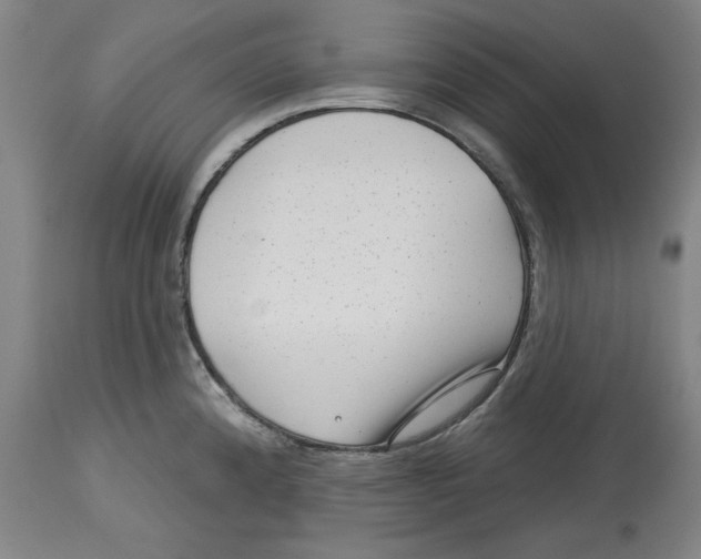 X0000114441192200911131509