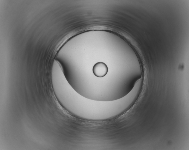 X0000114441193200911131509