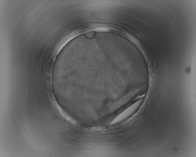 X0000114441194200911131509