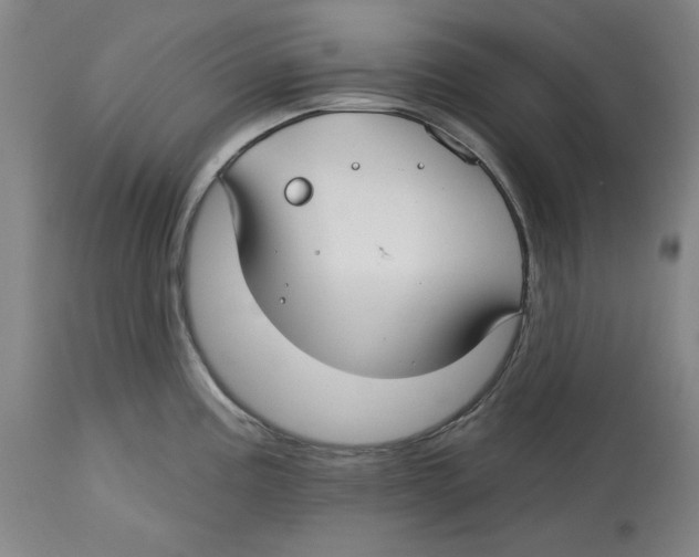 X0000114441195200911131509