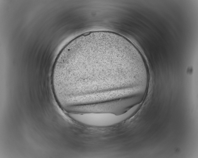 X0000114441197200911131509