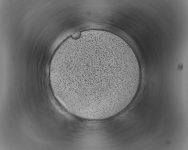 X0000114441198200911131509