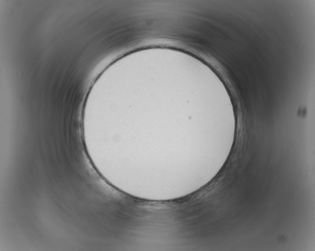 X0000114441199200911131509