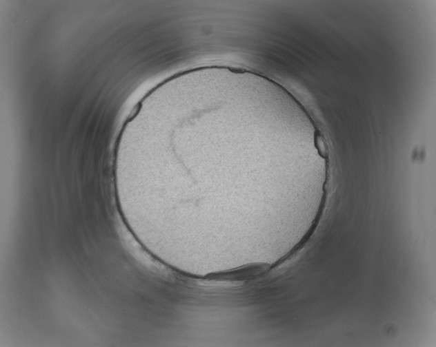 X0000114441200200911131509