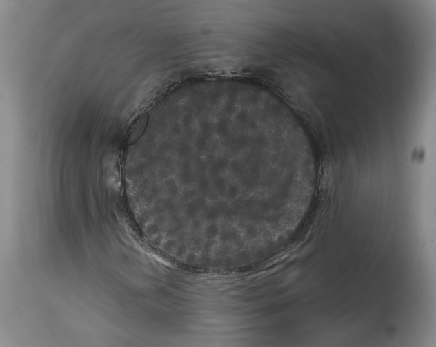 X0000114441202200911131508