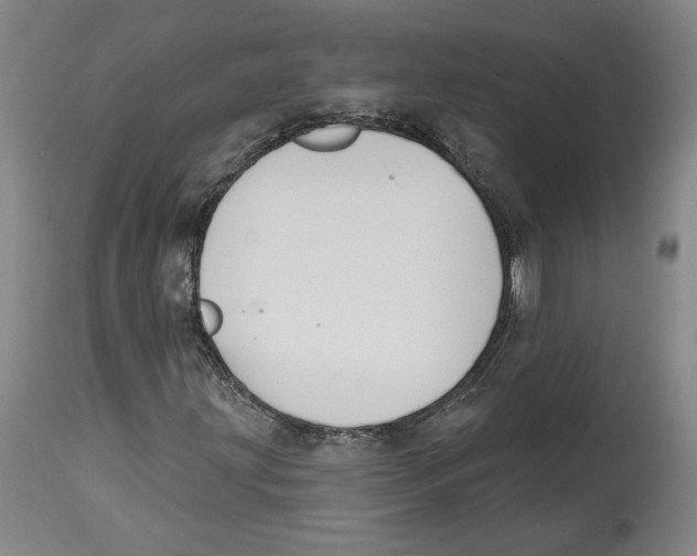 X0000114441203200911131508