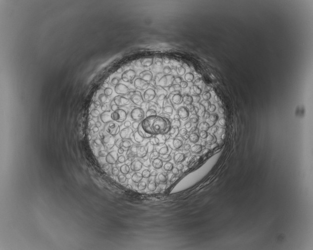 X0000114441205200911131508