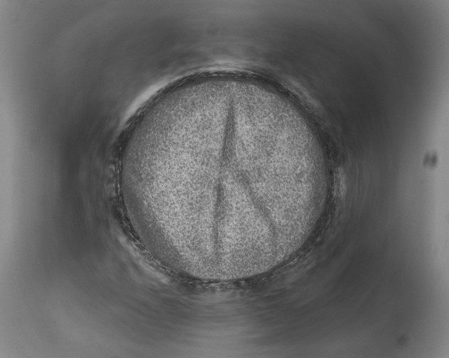 X0000114441208200911131508