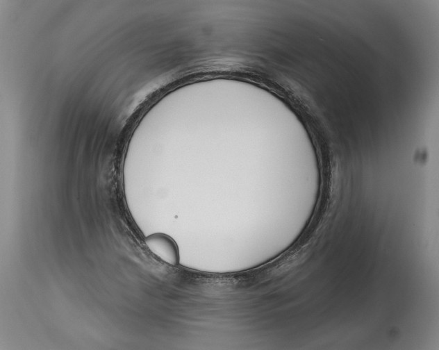 X0000114441210200911131508