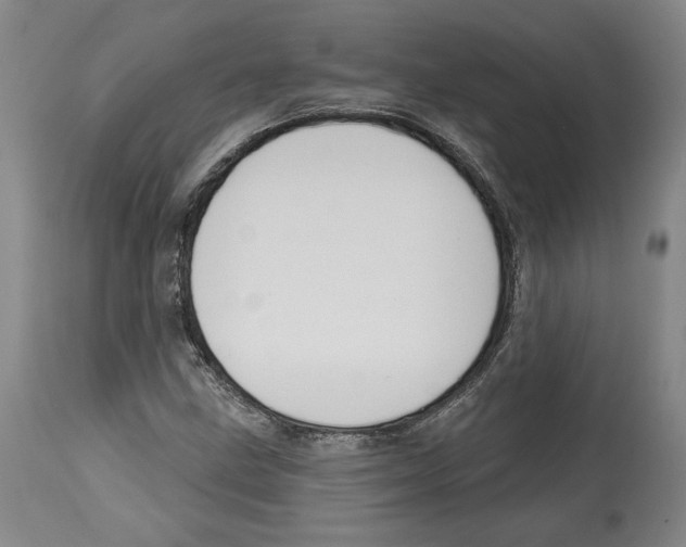 X0000114441211200911131508