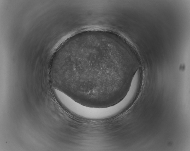 X0000114441213200911131508