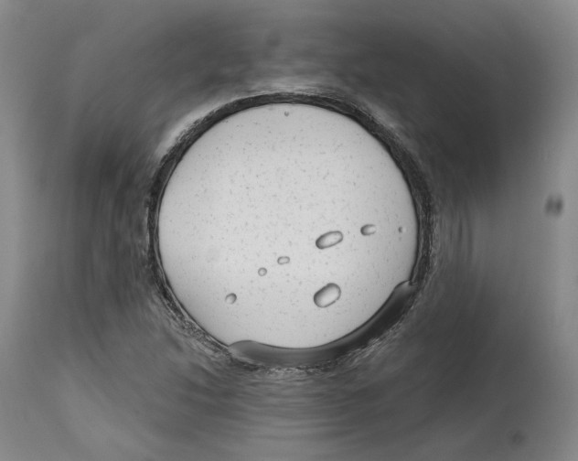 X0000114441214200911131508