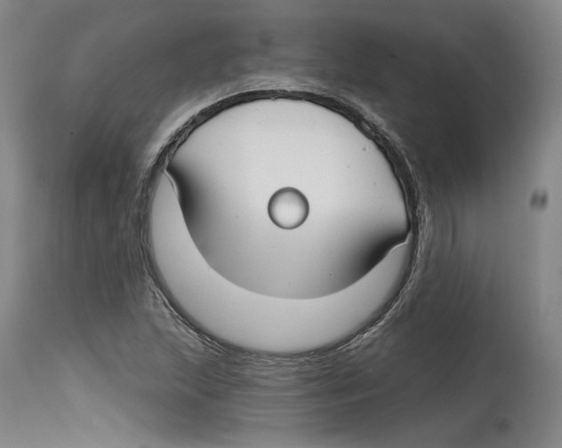 X0000114441215200911131508