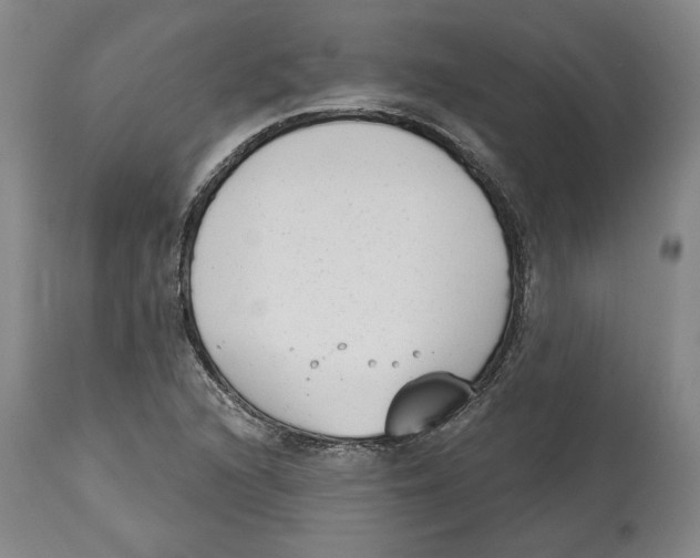 X0000114441216200911131508