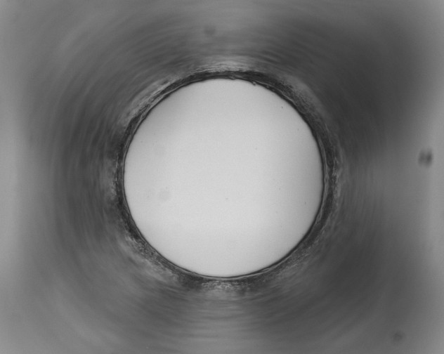 X0000114441217200911131508