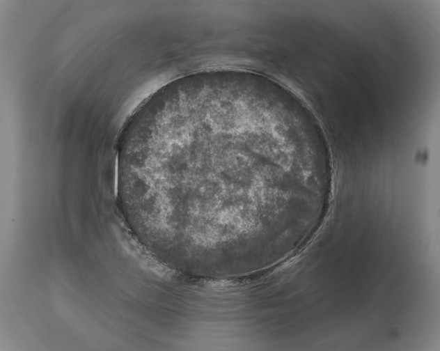 X0000114441219200911131508