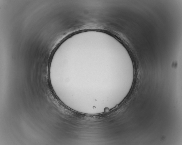 X0000114441220200911131508