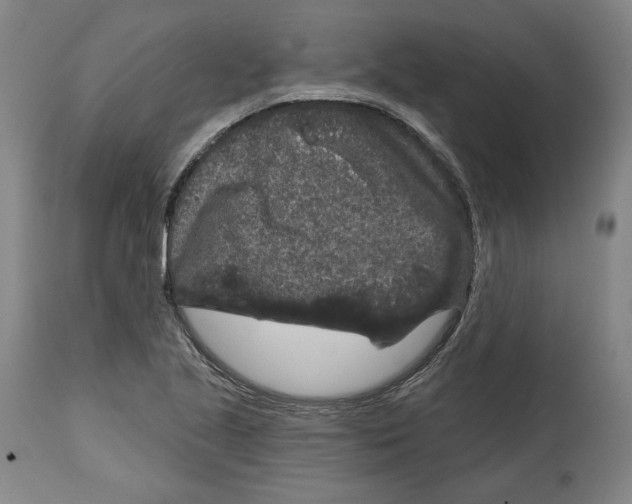 X0000114441221200911131508