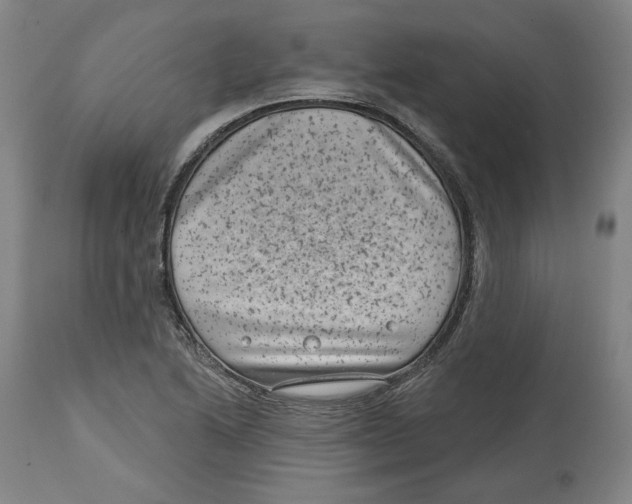 X0000114441222200911131508